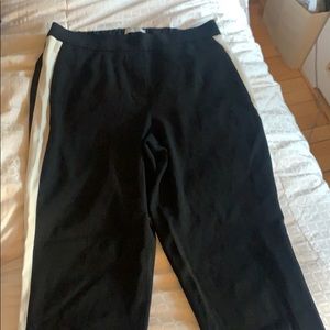 Aritzia Babaton Conan Pant